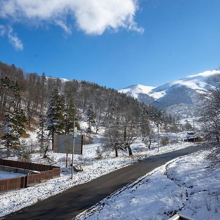 Apartment In Бакуриани Экстерьер фото